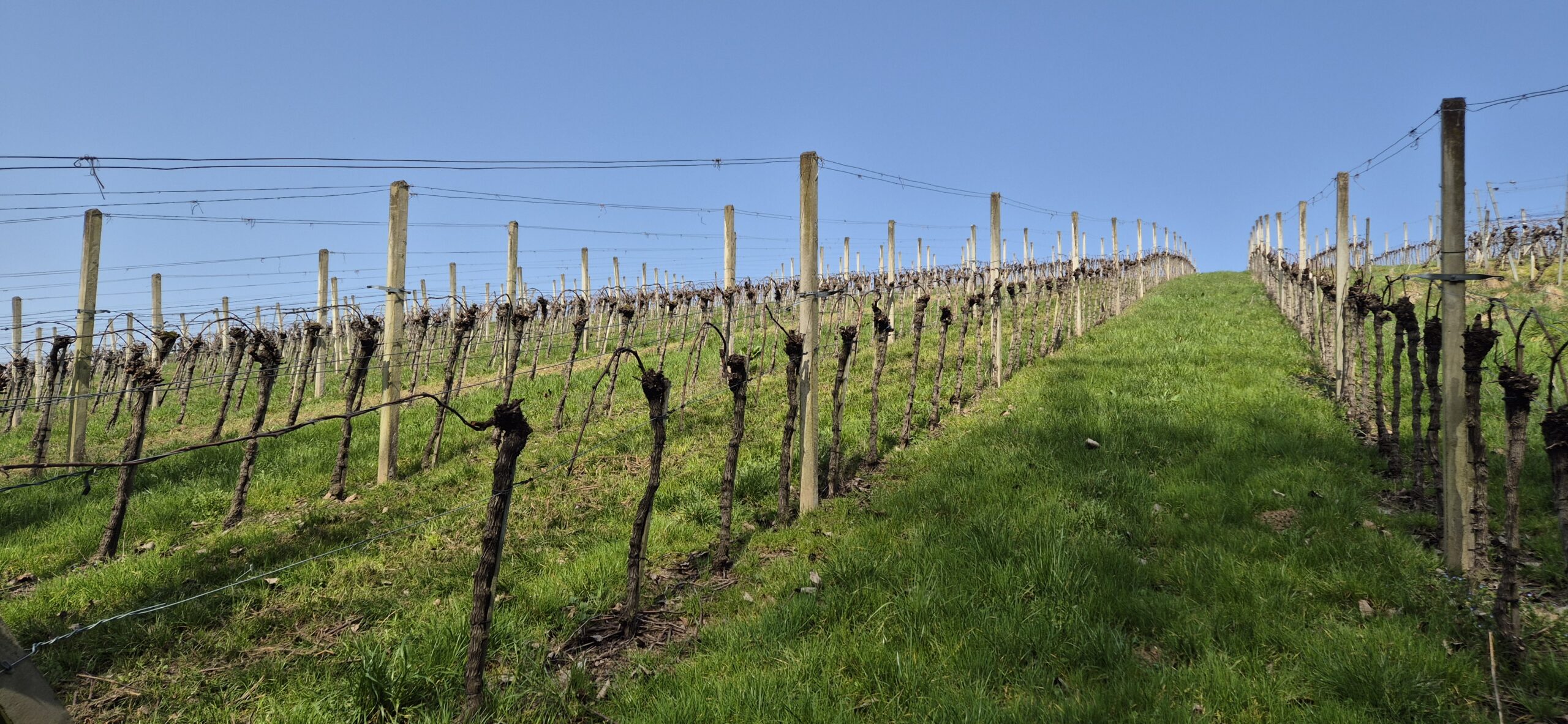 2026_03_01 Deutschland